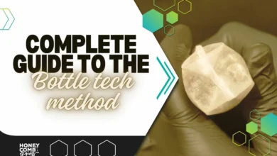 BottleCrunch.com: Your Guide to Website Success
